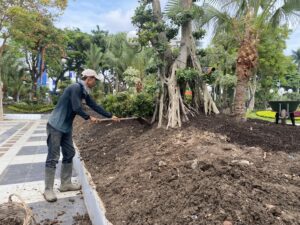 Diketahui Asal Granat dari Kerukan Sungai, DLH Surabaya Evaluasi Pengambilan Tanah untuk Taman