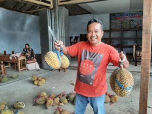 Musim Panen Tiba, Warga Desa Mlancu Kediri Hasilkan 5 Ribu Buah Durian