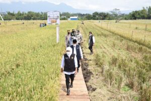 Nilai Tukar Petani dan Nilai Tukar Nelayan Jatim Alami Kenaikan di Bulan Desember, NTP Tertinggi Selama 2018 – 2022