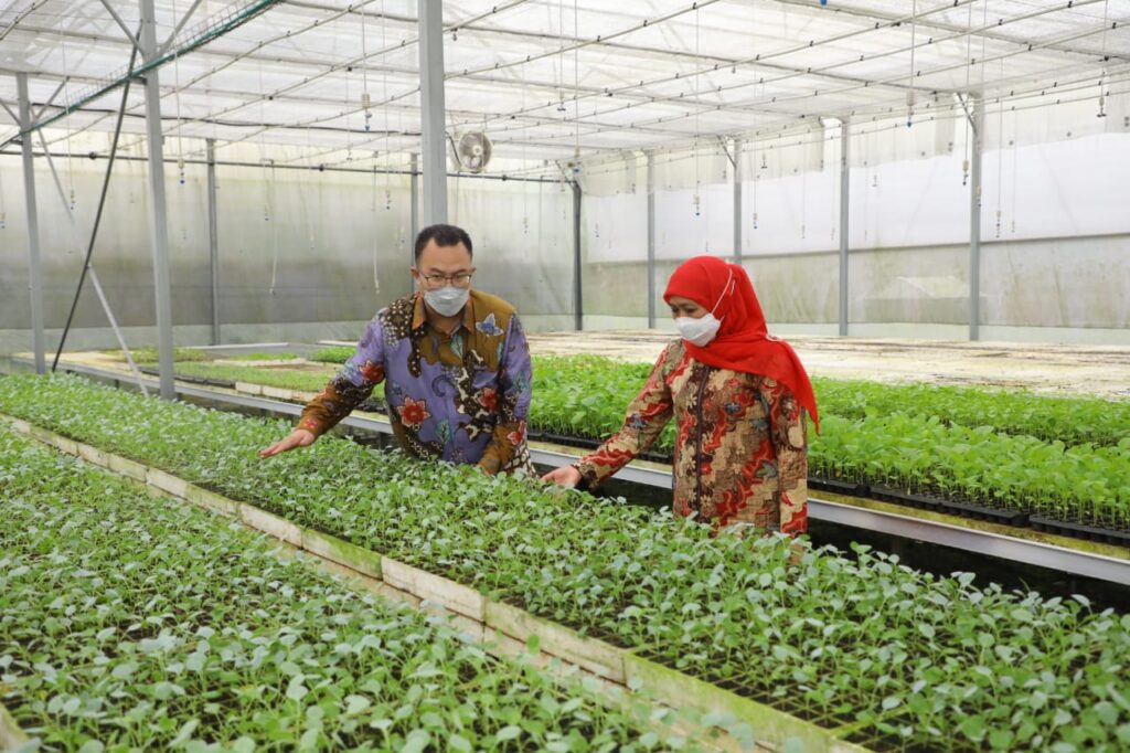 Gubernur Khofifah Harap Kerjasama di Sektor Pertanian dan Pengembangan Desa Jatim Semakin Kuat Dengan IPB
