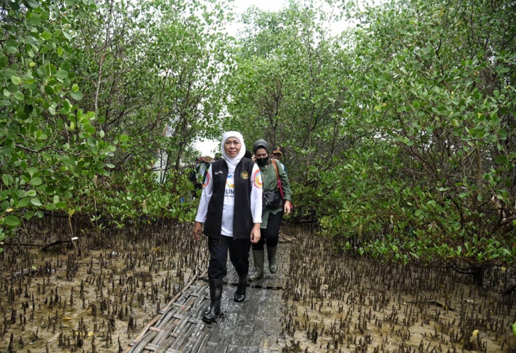 Hutan Mangrove Jatim Terluas di Pulau Jawa dengan Total 27.221 Hektar (48 %)
