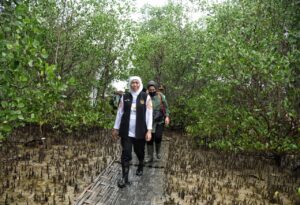 Hutan Mangrove Jatim Terluas di Pulau Jawa dengan Total 27.221 Hektar (48 %)
