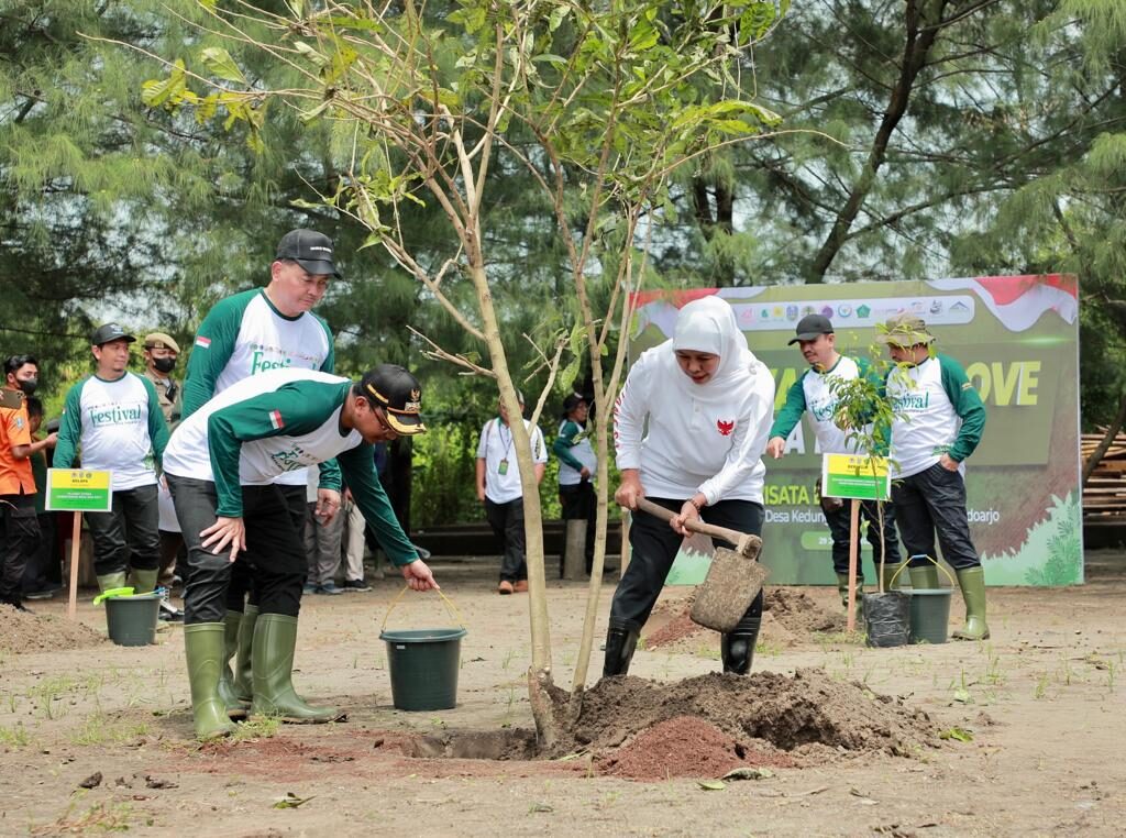 Festival Mangrove, Gubernur Khofifah: Kuatkan Sinergi Hulu Hilir Untuk Jaga Ekosistem Mangrove