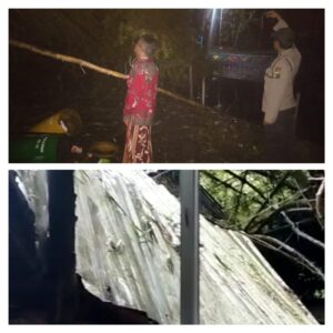 Hujan Angin Kencang di Geronjong Wariti Kediri Robohkan Gazebo dan Pohon Bambu