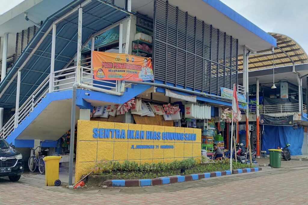 Pemkot Surabaya Segera Perbaiki dan Percantik Sentra Ikan Hias Gunungsari