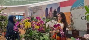 Greenovation: Dari Dapur Ke Taman, Dari Taman Ke Dapur