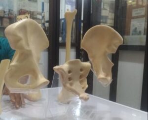 Profesor ITS Kembangkan Pemrosesan Polimer Berbasis Industri Hijau