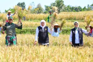 Gubernur Khofifah Apresiasi Inovasi Petani yang Kembangkan Pupuk Organik ‘Biosaka’