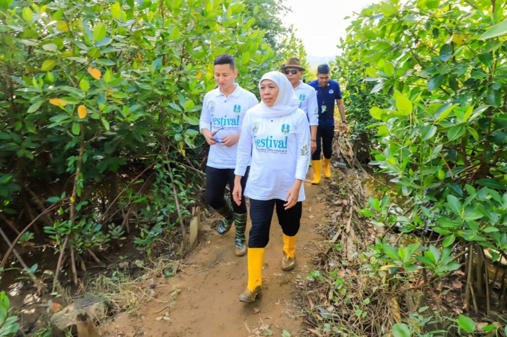 Festival Mangrove di Pancer Cengkrong Trenggalek, Gubernur Khofifah Dorong Hilirisasi dari Pengembangan Ekosistem Mangrove