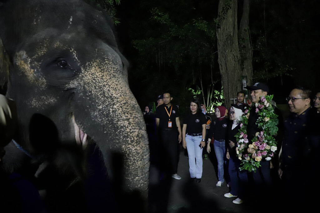 Gelar Trial Opening Surabaya Night Zoo, Wali Kota Eri Cahyadi: Amazing!