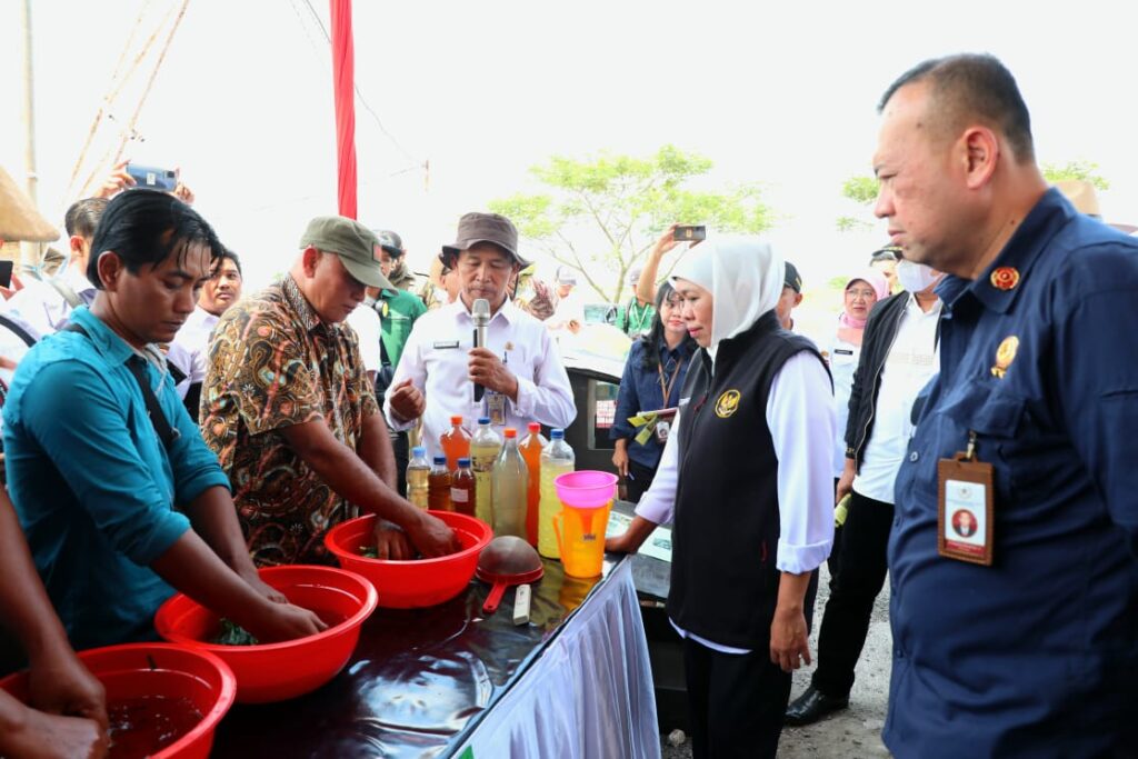 Tinjau Inovasi Pertanian Ngawi, Gubernur Khofifah: Upaya Implementasi Pertanian Modern Untuk Wujudkan Jatim Lumbung Pangan Nasional