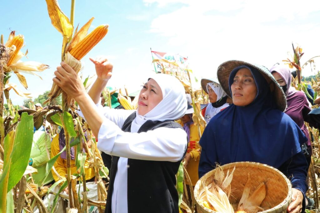 Hari Krida Pertanian, Gubernur Khofifah : Peningkatkan Produktivitas Pertanian Harus Selaras dengan Kesejahteraan Petani