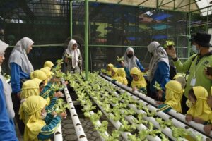 Mini Agrowisata Surabaya Jadi Destinasi Edukasi Favorit Anak-anak, Sehari Bisa Tembus 500 Pengunjung