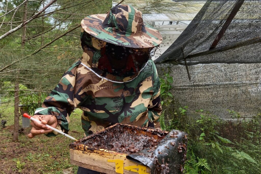 Melihat Budidaya Lebah Trigona di Lahan Pascatambang Semen Baturaja