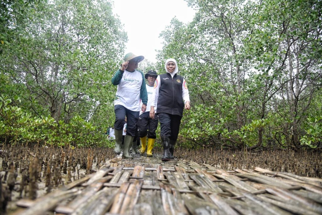 Hari Mangrove Sedunia, Gubernur Khofifah: Ayo Masifkan Tanam dan Lestarikan Mangrove Untuk Sedekah Oksigen