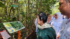 Gubernur Khofifah Optimis Kebun Raya Mangrove Surabaya Ungkit Kesejahteraan Masyarakat Pesisir