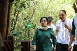 Di hadapan Megawati, Wali Kota Eri Cahyadi Sebut Kebun Raya Mangrove Surabaya Jadi Sarana Edukasi – Wisata