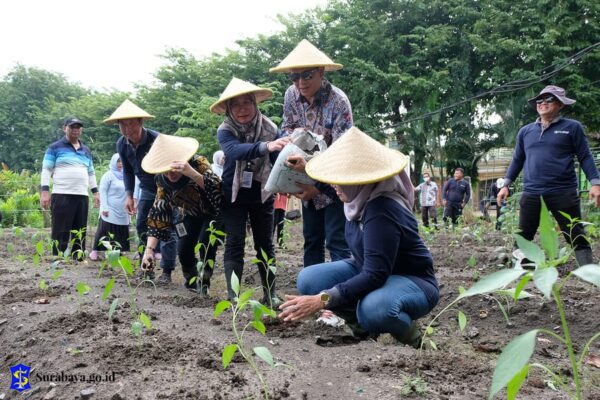 Antisipasi El Nino, Pemkot Surabaya Tanam 9 Bahan Pangan Pengganti Padi