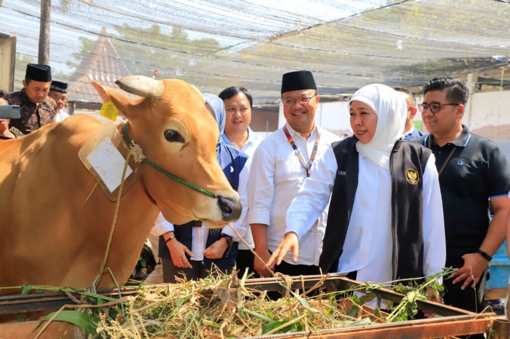 Capaian Vaksinasi PMK Tertinggi Se-Indonesia 6,1 Juta Dosis Telah Digunakan Hewan Ternak Jatim