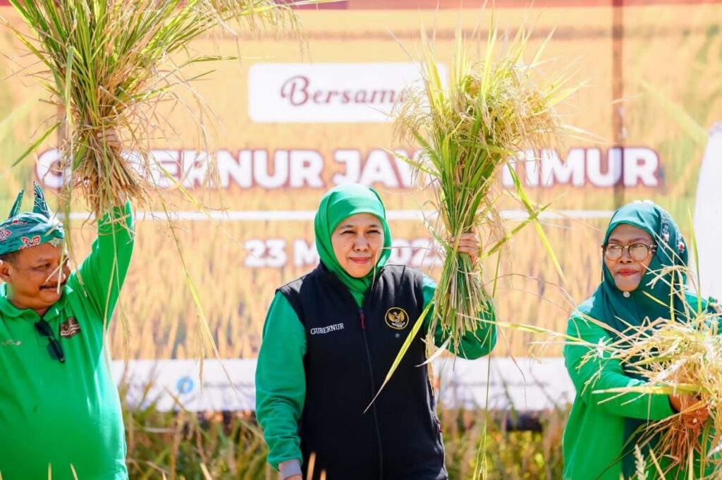 Konsisten Jadi Provinsi Penghasil Padi Tertinggi, Gubernur Khofifah Raih Penghargaan Adhikarya Nararya Pembangunan Pertanian