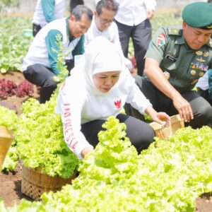 Dorong Peningkatan Ketahanan Pangan, Gubernur Khofifah dan Pangdivif 2 Kostrad Tanam 10 Ribu Pohon