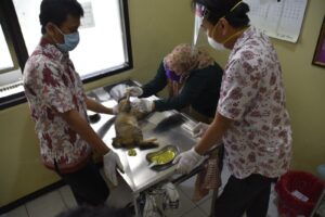 Pemkot Surabaya Sediakan Layanan Klinik Hewan Secara Gratis 