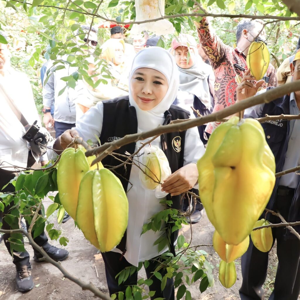 Agrowisata Petik Buah Belimbing Karangsari, Destinasi Wisata Andalan Kota Blitar