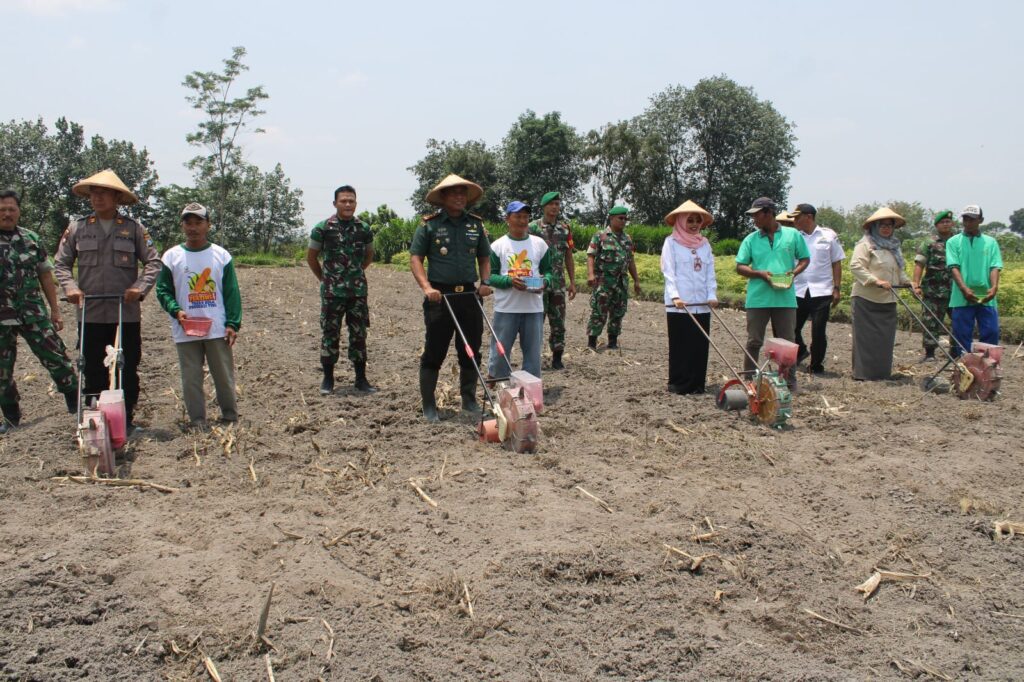 Forkopimda Kabupaten Kediri Tanam Jagung di Gerakan Nasional Ketahanan Pangan