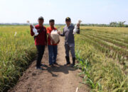 Begini Cara Pemkot Surabaya Menjaga Ketahanan Pangan