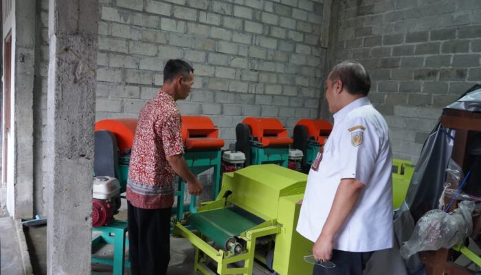 Gandeng Akademisi, Balitbangda Kabupaten Kediri Bangkitkan Ekonomi Kelompok Petani Nanas di Desa Bedali