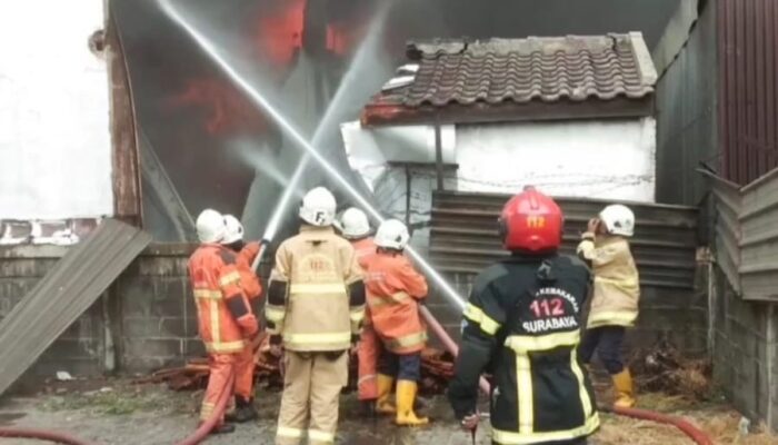 Tekan Risiko Kebakaran di Permukiman, DPKP Surabaya Lakukan Pemetaan di Wilayah Padat Penduduk