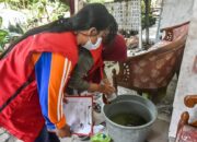 Cegah Penularan DBD, Wali Kota Eri Minta Puskesmas Segera Lakukan Penyelidikan Jika Ada Temuan Kasus