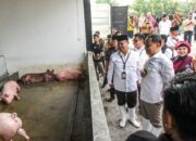 RPH Khusus Babi di Banjarsugihan Mulai Beroperasi, Wali Kota Eri Minta Libatkan Tenaga Kerja dari Warga Setempat