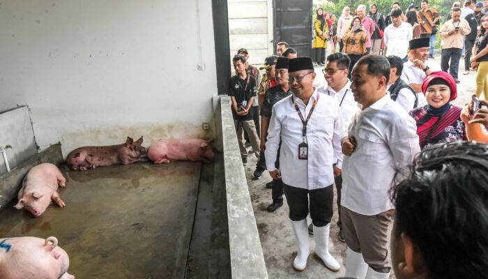 RPH Khusus Babi di Banjarsugihan Mulai Beroperasi, Wali Kota Eri Minta Libatkan Tenaga Kerja dari Warga Setempat