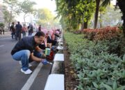 Seluruh Pegawai Pemkot Surabaya Kerja Bakti Cat Ulang Curbing Median Jalan