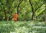 SBI Alokasikan Separuh Area Pabrik Cilacap sebagai Hutan Kota 