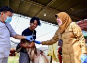 Pemkot Surabaya Lakukan Pengecekan Hewan Kurban, Pastikan Kesehatan dan Miliki Rekomendasi DKPP