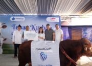 FIFGROUP Tebar 3 Sapi dan 453 Kambing ke Berbagai Penjuru Negeri