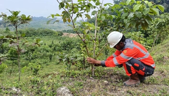 SBI Dorong Pemulihan Sumber Daya Alam Untuk Masa Depan