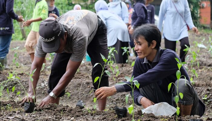 Harga Meroket, Pemkot Surabaya Manfaatkan Lahan BTKD untuk Tanam Cabai