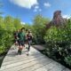 Surabaya Peringati HUT ke-1 Kebun Raya Mangrove dengan Berbagai Kegiatan Lingkungan dan Edukasi