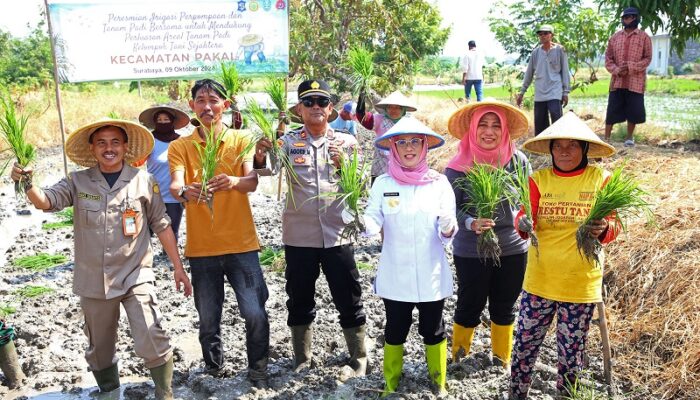 Jaga Ketahanan Pangan, Pemkot Surabaya dan Kementan RI Resmikan Irigasi Pompa dan Tanam Padi di Kecamatan Pakal