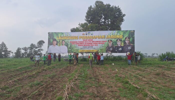 Dukung Program Swasembada Pangan, Perhutani Kediri Siapkan 10 Hektar untuk Giat Tanam Jagung Bersama