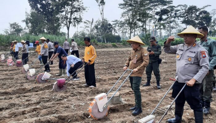 Dukung Program Swasembada Pangan, Kapolres Kediri Pimpin Giat Tanam Jagung