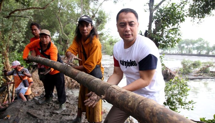 Atasi Rob, Wali Kota Eri Cahyadi Tinggikan Tanggul di Greges Timur