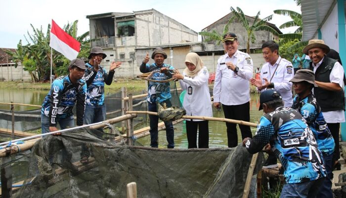 Pemkot Surabaya-Poktan Pajero Manfaatkan Bozem sebagai Lahan Pertanian hingga Budidaya Ikan