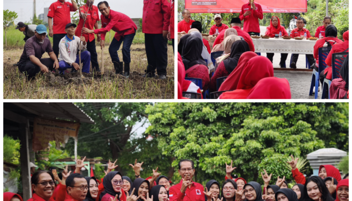 Galakkan Tanaman Produktif dan Pendamping Beras, PDIP Surabaya Tanam Mangga dan Ketela