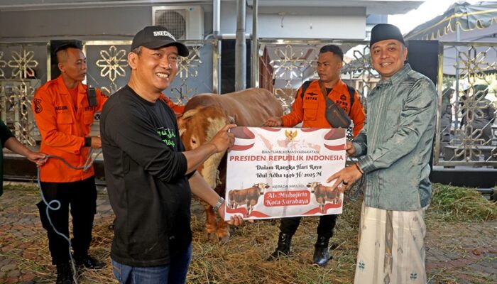 Wali Kota Eri Cahyadi Salurkan Sapi Kurban Bantuan Presiden Prabowo Berbobot 845 Kg