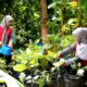 Semen Gresik: Program Bumi Kartini Berdayakan Wanita Tani di Blora