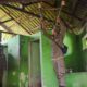 Satpol PP Surabaya Gerak Cepat Kosongkan Toilet Umum yang Beralih Fungsi